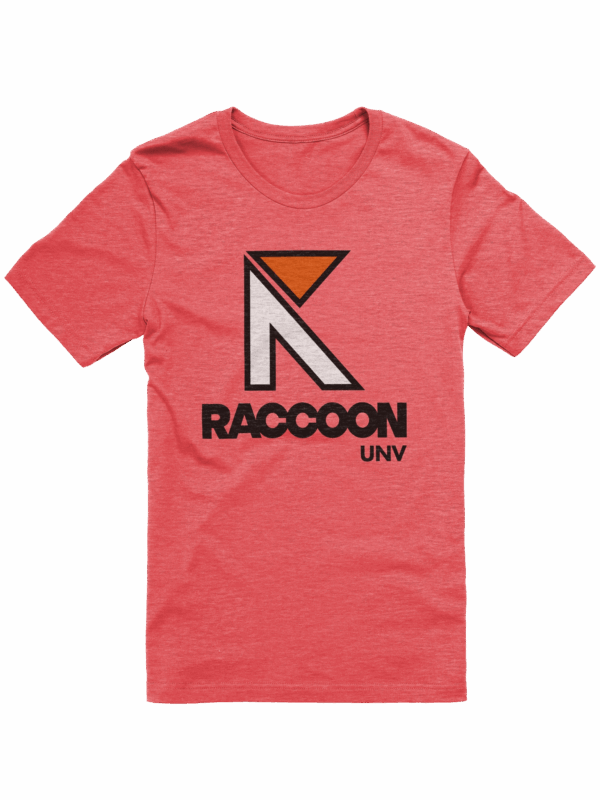 Raccoon University - Image 1