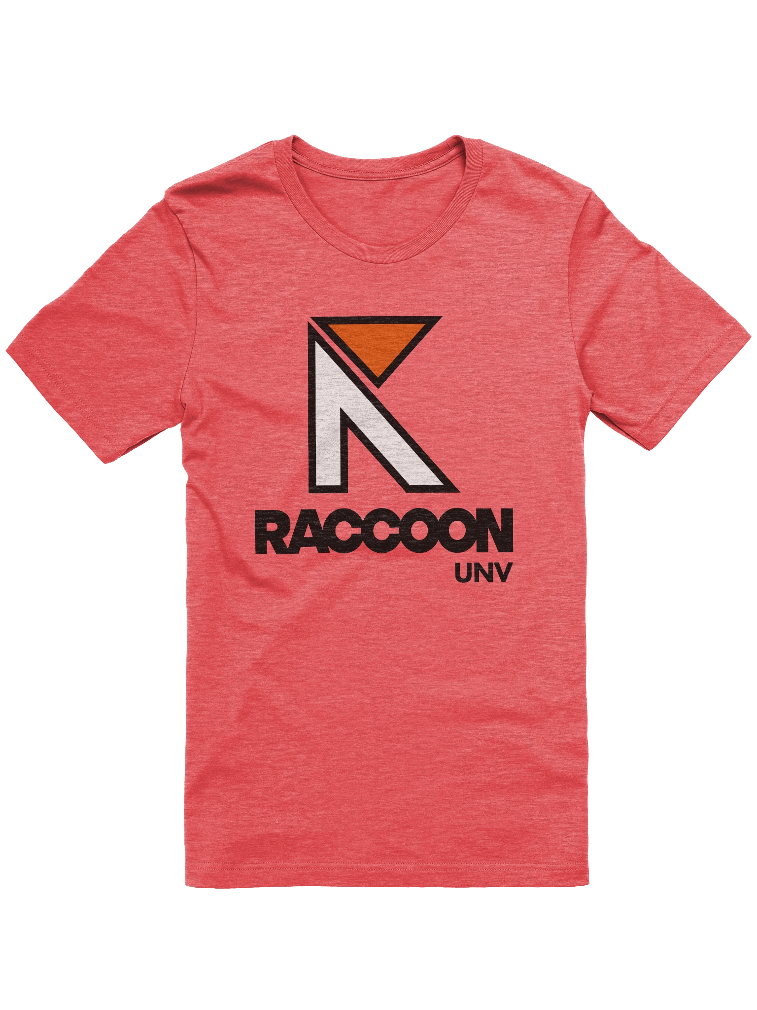 Raccoon University - Image 1